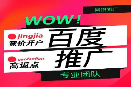 谷歌SEM与移动端优化：某APP的推广策略及效果